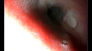 SVideo 20110923 191034