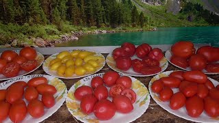 Подарочные наборы семян высланы! 