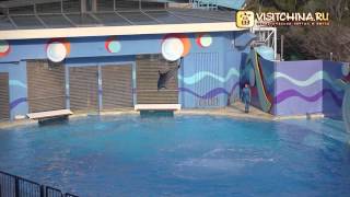 Ocean Park, Hongkong