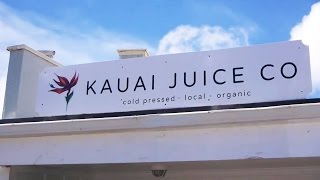 Kombucha Brewery Tour