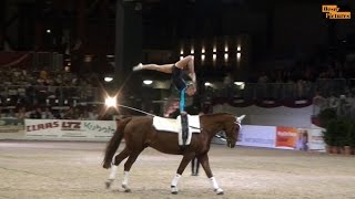 Chemnitzer Pferdenacht 2016 - Großer Preis von Sachsen