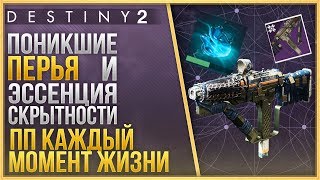 ГДЕ НАЙТИ ПОНИКШИЕ ПЕРЬЯ❓ЭССЕНЦИЯ СКРЫТНОСТИ❗ПП Каждый момент жизни❗