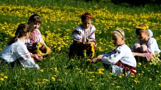 село Соснівка