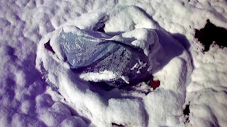 -5 мороза. Укрыл Виноград. 3 мая. Кузбасс.