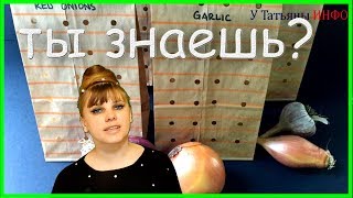 Найден ЛУЧШИЙ способ хранения лука и чеснока в КВАРТИРЕ!