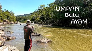 Teknik Mancing ikan dengan bulu Ayam…???????????????????????? | Memancing di sungai yang jernih, part #1