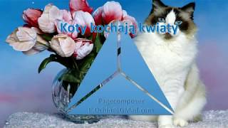 Dla mojej ukochanej wnuczki (wszyscy kocha kwiaty)