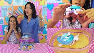 Es la Pequeña TORTUGA BeBe y su MaMá | AnaNana TOYS