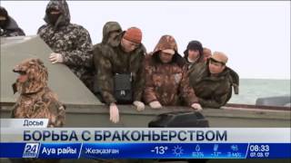 Браконьеры продолжают опустошать рыбные запасы Каспия