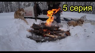 В тайгу на целый день. Охота. Чаёк на природе. Собаки умирают от усталости. 5 серия.