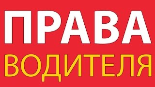 Рекомендации родственникам водителя задержанного сотрудниками ГИБДД №204
