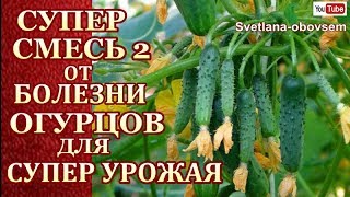 СУПЕР СМЕСЬ №1-б для ОГУРЦОВ для УРОЖАЙНОСТИ от АНТРАКНОЗА,МУЧНИСТОЙ РОСЫ,БУРОЙ ПЯТНИСТОСТИ+ПОДКОРМК