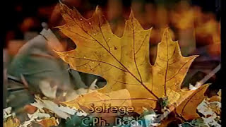KAJEM - Solfège