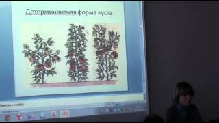 Учимся формировать томаты, перцы, огурцы.