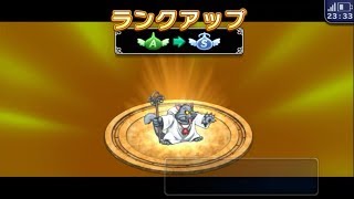 #253【どこパレ】ダークペルシャ・SランクLv99への道！