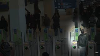 La Resquille, la chasse aux fraudeurs