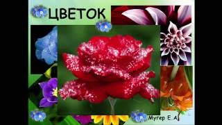 Цветок