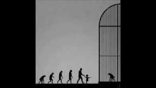 ZTL-Libertà in una gabbia