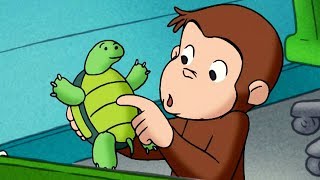 George O Curioso ? Macaco Convidado ?Episódio Completo ? Desenhos Animados