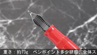 OMAS オマス 万年筆 リミテッドエディション エルサレム建立3000年記念 スターリングシルバー F