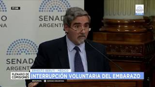 Debate del aborto: Exposición del doctor Ernesto Beruti