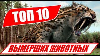 ТОП 10 ВЫМЕРШИХ животных, которые клонируют ученые УЖЕ СКОРО!