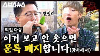 [문명특급 EP.50] 풀피리가 부릅니다. (풀)삐리빠빠 (풀)삐리뽐 빼리뽐. / 스브스뉴스