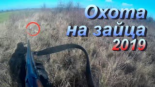 Охота на зайца 2019. Красивый подъем, досадный промах