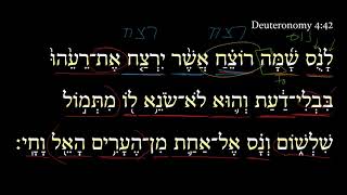 Deuteronomy 4:42