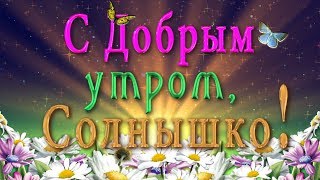 ?? С Добрым утром, Солнышко! ??Анимационная  открытка 4K