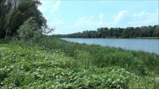 Экспедиция "Средний Дон 2013" (часть 2)