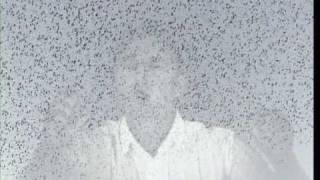 Theodor Jensen - Songbird
