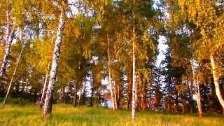 Иссак Шварц. Музыка из фильма "Мелодии белой ночи"
