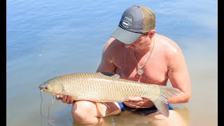 Рыбалка на реке Ахтуба. Белый Амур 5.760 кг. Ловля рыбы на течении донной снастью.
