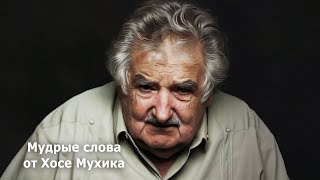 Мудрые слова