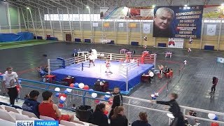 Боксерский турнир памяти Бурмистрова – финальные бои юниоров