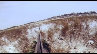 Охота на зайца. Тропление зайца. Первый новогодний заяц. Иж-43