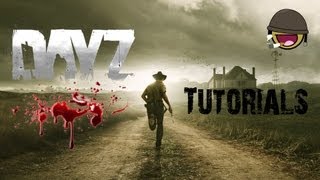 DayZ Nitrado Server #001 - Kauf, Einrichtung und Erklärung [HD+][DE]
