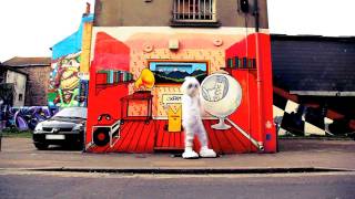 Butchers Hook Corporate Video Production Showreel 2012