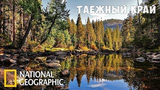 Дикая природа России: Таёжный край | Фильм 5 из 6 | (National Geographic)