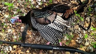 2014 TN Turkey Hunting