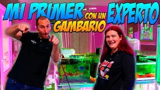 Cómo montar un GAMBARIO de la mano de UN EXPERTO en gambas