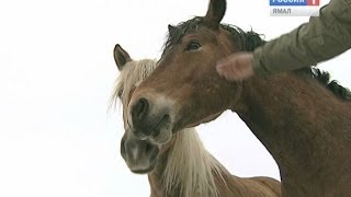 Горнохадатинский заказник -- это не просто охраняемая природная территория.