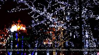 Пример украшения парка гирляндами Клип Лайт и тающими сосульками.