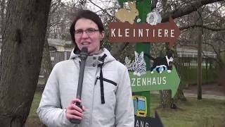 Tierheimreport vom 13.02.2020 - LAUSITZWELLE