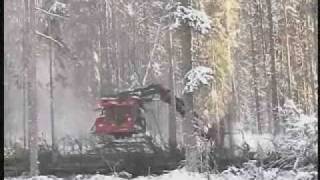 Feller Buncher Valmet 445EXL