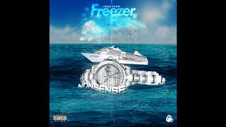 NONSENSE - FREEZER ?