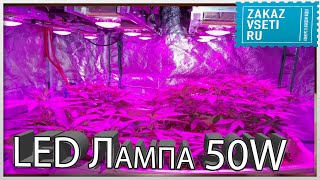 LED Лампа 50W за $49.50 для выращивания растений с aliexpress