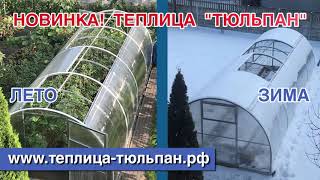 Теплица Тюльпан - первая в России теплица с открывающейся крышей и боками!