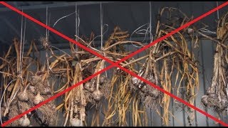 Как Правильно Хранить Чеснок. Как Подготовить Грядку Под Чеснок.